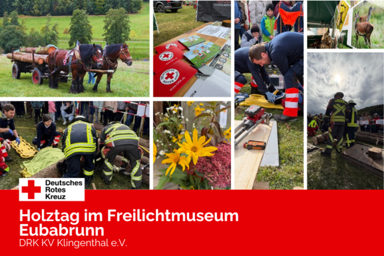 Ein Querschnitt der Veranstaltung: Holzrückpferde, wunderschöner herbstlicher Blumenschmuck, Rettungsdienst und Feuerwehr bei der Schauübung, Impressionen von Ständen