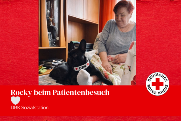 Eine Patientin sitzt im Sessel, den Fuß auf den Hocker gestellt, ebenfalls hat unsere französische Bulldoge Rocky darauf Platz genommen.